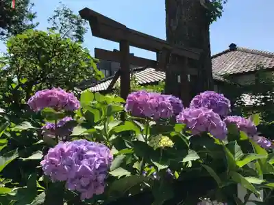 白山神社の鳥居