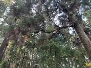 大宮温泉神社(栃木県)(2024年03月16日(土) 06時59分38秒投稿)