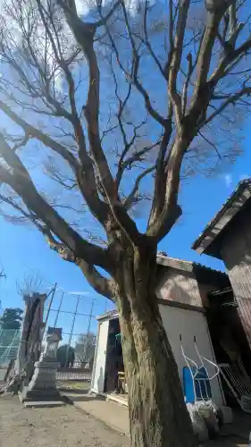 天満宮(栃木県)