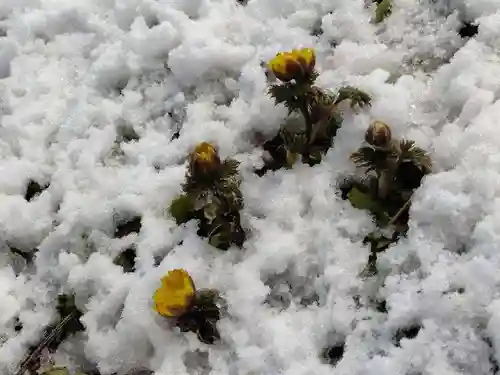 正観音堂(福島県)