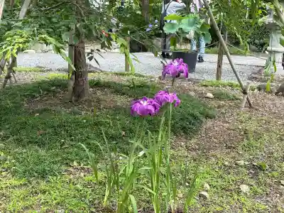 頼光寺(兵庫県)
