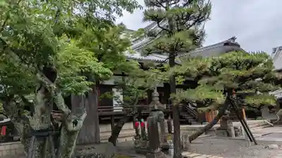 清浄華院(京都府)