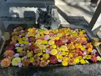 二本松神社(福島県)