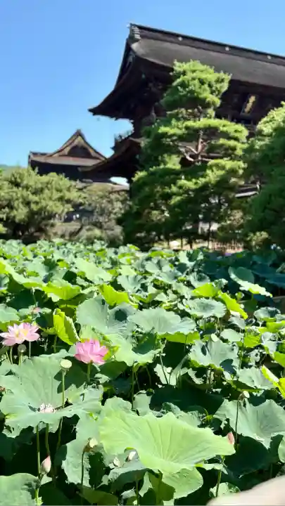 善光寺大勧進(長野県)