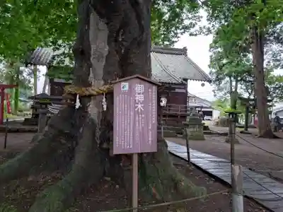 白鳥神社(長野県)