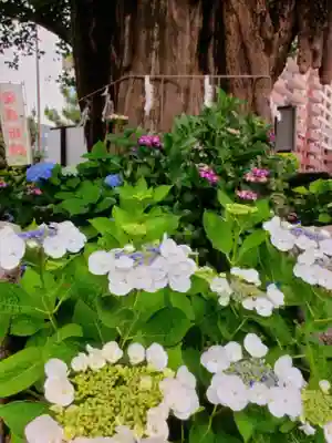 磐井神社(東京都)