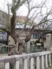 與喜天満神社の自然