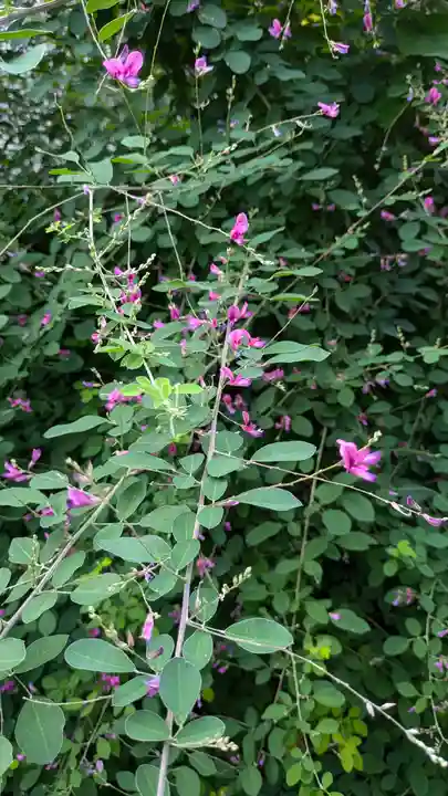福田寺(京都府)