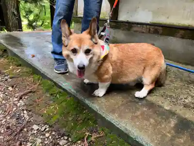 大宮温泉神社(栃木県)