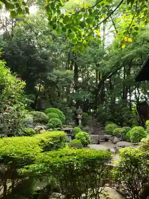 龍光寺(東京都)