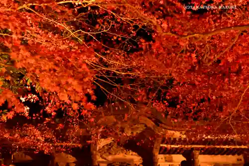 大山寺(神奈川県)
