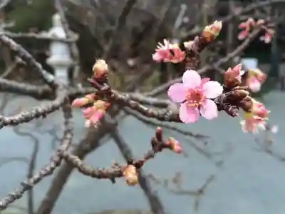 鎮國寺(福岡県)
