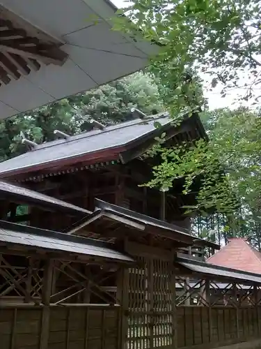亀岡八幡宮の本殿・本堂