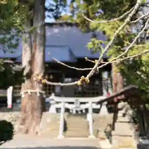 高司神社〜むすびの神の鎮まる社〜(福島県)(2026年03月29日(日) 10時33分35秒投稿)