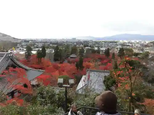 禅林寺（永観堂）の景色