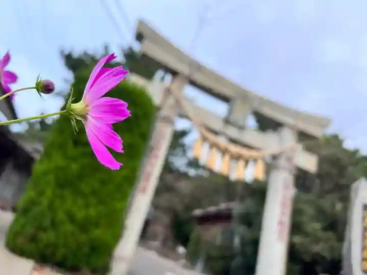 小茂田浜神社(長崎県)