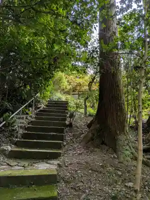宝登山神社(埼玉県)