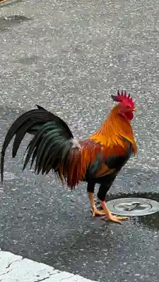 熱田神宮(愛知県)