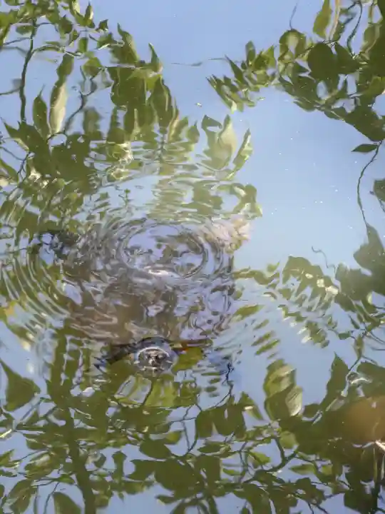 磐井神社の{uncategorized: "未分類", other: "その他", undefined: "問題あり", building: "その他建物", grave: "お墓", sacred_gate: "鳥居", guardian: "狛犬", statue: "像", buddha: "仏像", history: "歴史", nature: "自然", garden: "庭園", animal: "動物", pagoda: "塔", temizu: "手水舎", mountain_gate: "山門・神門", sanctuary: "本殿・本堂", subordinate: "末社・摂社", art: "芸術", scenery: "景色", jizo: "地蔵", ema: "絵馬", goshuin: "御朱印", omikuji: "おみくじ", items: "授与品その他", amulet: "お守り", goshuincho: "御朱印帳", eats: "食事", festival: "お祭り", votive_dance: "神楽", shichigosan: "七五三参", wedding: "結婚式", experience: "体験その他", initially: "初詣", around: "周辺", anti_infection: "感染症対策"}