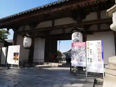 東寺(教王護国寺)の山門・神門