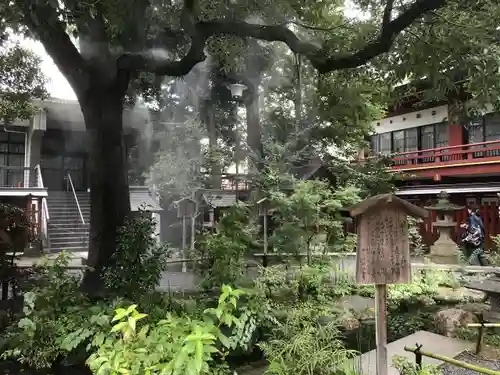 秩父神社のおみくじ