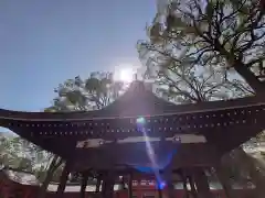 武蔵一宮氷川神社の本殿