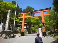 日吉大社の鳥居