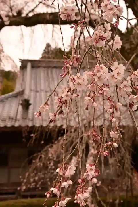 法蓮寺(愛媛県)