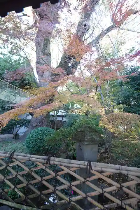 三嶋大社(静岡県)