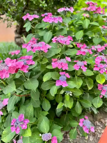 源九郎稲荷神社(奈良県)