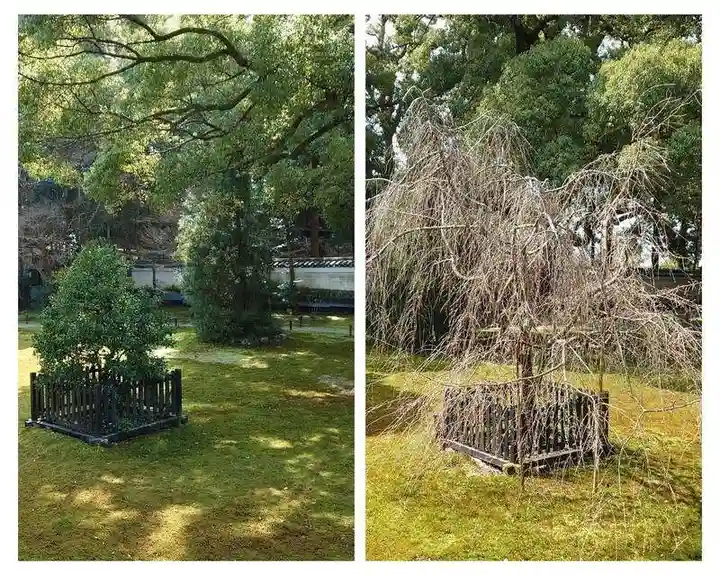 青蓮院門跡(京都府)