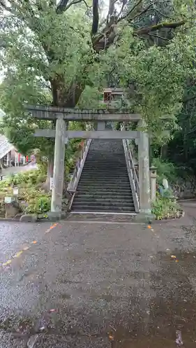 伊豆山神社の鳥居