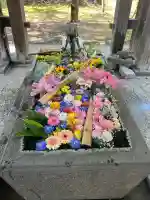 札幌護國神社の{uncategorized: "未分類", other: "その他", undefined: "問題あり", building: "その他建物", grave: "お墓", sacred_gate: "鳥居", guardian: "狛犬", statue: "像", buddha: "仏像", history: "歴史", nature: "自然", garden: "庭園", animal: "動物", pagoda: "塔", temizu: "手水舎", mountain_gate: "山門・神門", sanctuary: "本殿・本堂", subordinate: "末社・摂社", art: "芸術", scenery: "景色", jizo: "地蔵", ema: "絵馬", goshuin: "御朱印", omikuji: "おみくじ", items: "授与品その他", amulet: "お守り", goshuincho: "御朱印帳", eats: "食事", festival: "お祭り", votive_dance: "神楽", shichigosan: "七五三参", wedding: "結婚式", experience: "体験その他", initially: "初詣", around: "周辺", anti_infection: "感染症対策"}