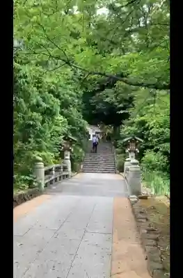 東郷神社の{uncategorized: "未分類", other: "その他", undefined: "問題あり", building: "その他建物", grave: "お墓", sacred_gate: "鳥居", guardian: "狛犬", statue: "像", buddha: "仏像", history: "歴史", nature: "自然", garden: "庭園", animal: "動物", pagoda: "塔", temizu: "手水舎", mountain_gate: "山門・神門", sanctuary: "本殿・本堂", subordinate: "末社・摂社", art: "芸術", scenery: "景色", jizo: "地蔵", ema: "絵馬", goshuin: "御朱印", omikuji: "おみくじ", items: "授与品その他", amulet: "お守り", goshuincho: "御朱印帳", eats: "食事", festival: "お祭り", votive_dance: "神楽", shichigosan: "七五三参", wedding: "結婚式", experience: "体験その他", initially: "初詣", around: "周辺", anti_infection: "感染症対策"}