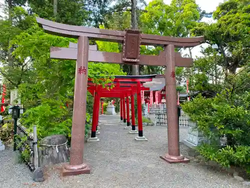 亀ケ池八幡宮の鳥居