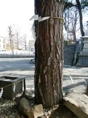 手稲神社(北海道)