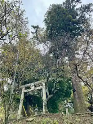 菅原神社の{uncategorized: "未分類", other: "その他", undefined: "問題あり", building: "その他建物", grave: "お墓", sacred_gate: "鳥居", guardian: "狛犬", statue: "像", buddha: "仏像", history: "歴史", nature: "自然", garden: "庭園", animal: "動物", pagoda: "塔", temizu: "手水舎", mountain_gate: "山門・神門", sanctuary: "本殿・本堂", subordinate: "末社・摂社", art: "芸術", scenery: "景色", jizo: "地蔵", ema: "絵馬", goshuin: "御朱印", omikuji: "おみくじ", items: "授与品その他", amulet: "お守り", goshuincho: "御朱印帳", eats: "食事", festival: "お祭り", votive_dance: "神楽", shichigosan: "七五三参", wedding: "結婚式", experience: "体験その他", initially: "初詣", around: "周辺", anti_infection: "感染症対策"}