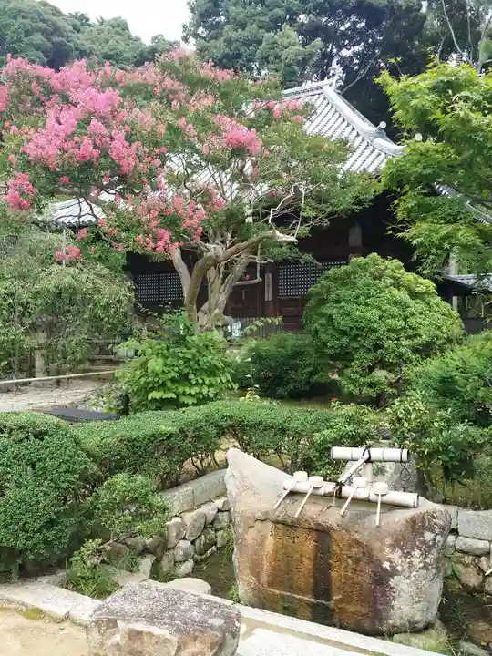 満願寺の手水舎