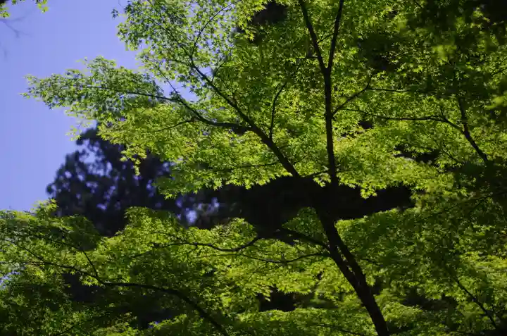 三千院門跡(京都府)