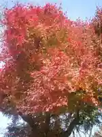 永福寺跡(永福寺址)の自然