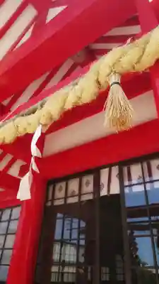 住吉神社（下津住吉町）の本殿・本堂