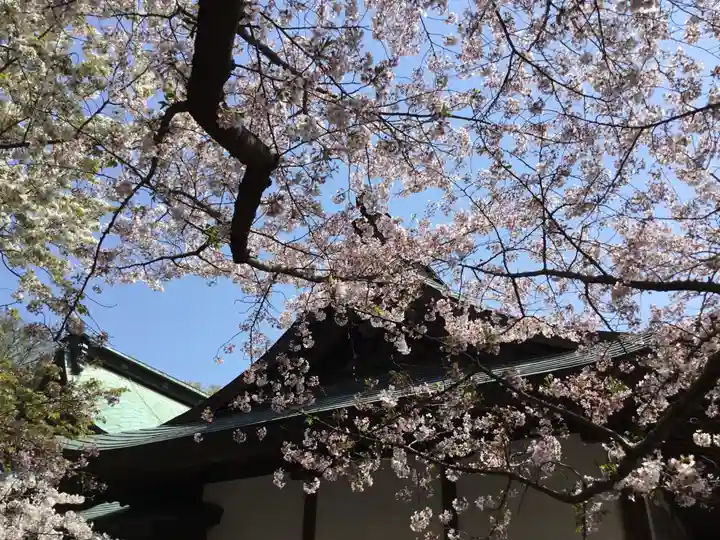 白羽神社の自然