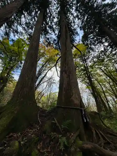 戸隠神社奥社(長野県)