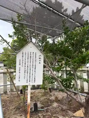 鶴林寺(兵庫県)