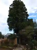 八幡神社(新潟県)