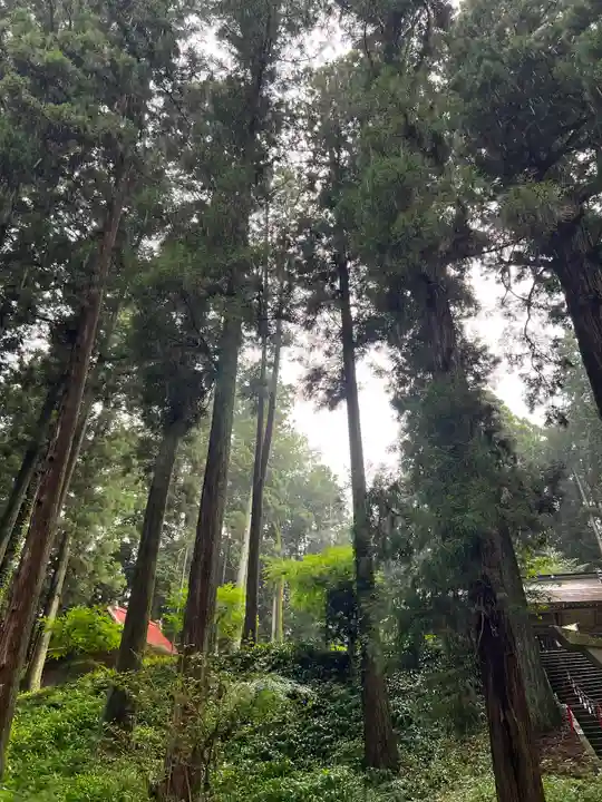 大宮温泉神社(栃木県)