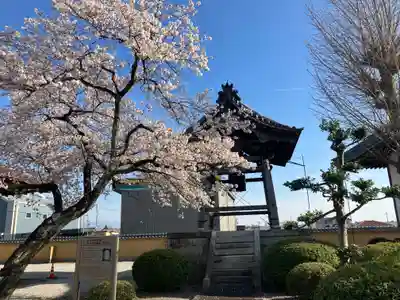 真宗大谷派本願寺別院（五村別院）(滋賀県)