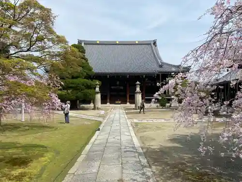 妙顯寺（妙顕寺）(京都府)