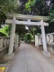 渋谷氷川神社の鳥居