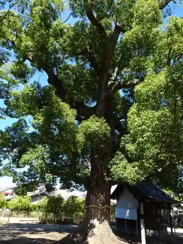 華表神社(大阪府)